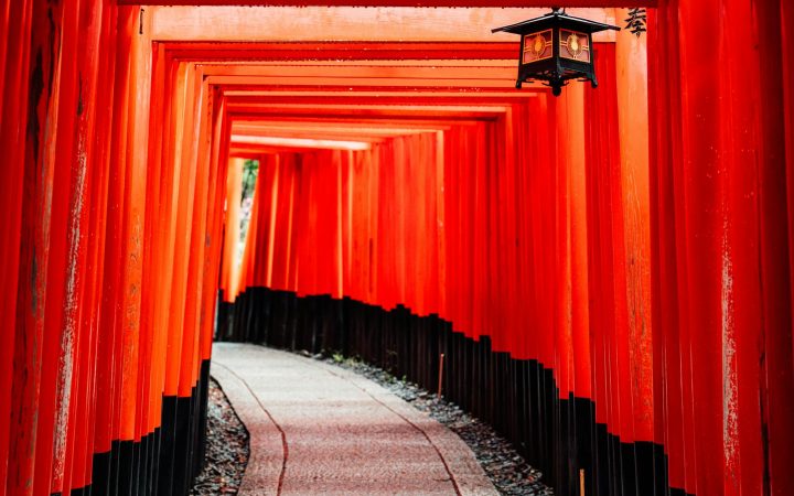 Japan 14-Day Itinerary 2026: Tokyo to Kyoto, Osaka & Cherry Blossoms
