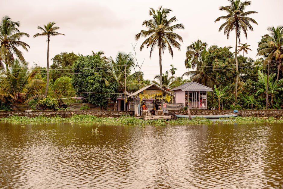 kerala backwaters