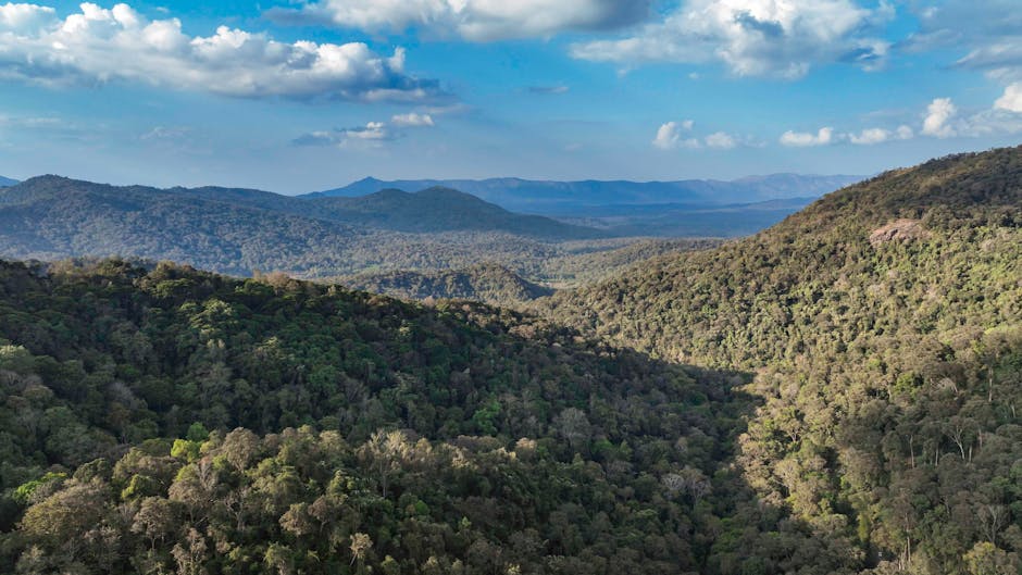 karnataka hills