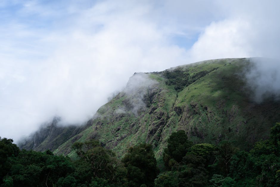 anamudi