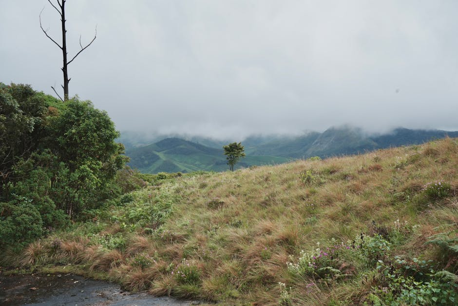 eravikulam
