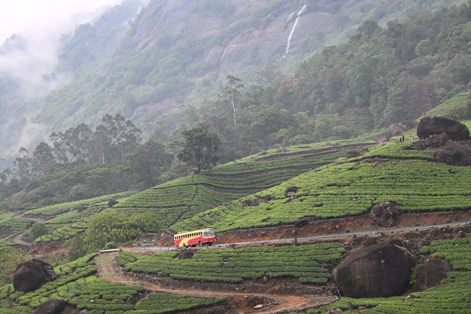 top station munnar