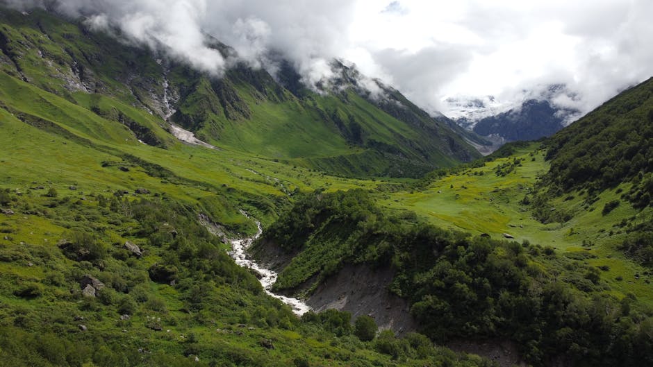 ghangaria