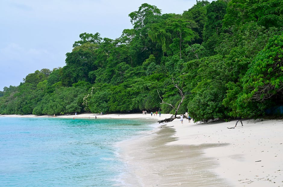 radhanagar andaman