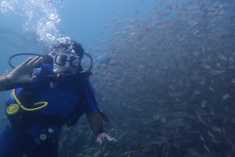 scuba andaman