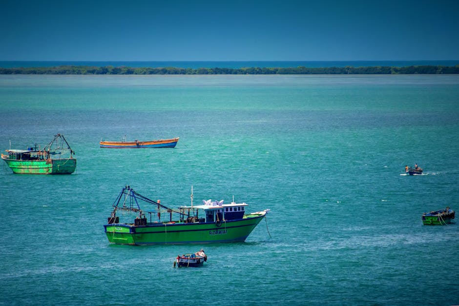 dhanushkodi