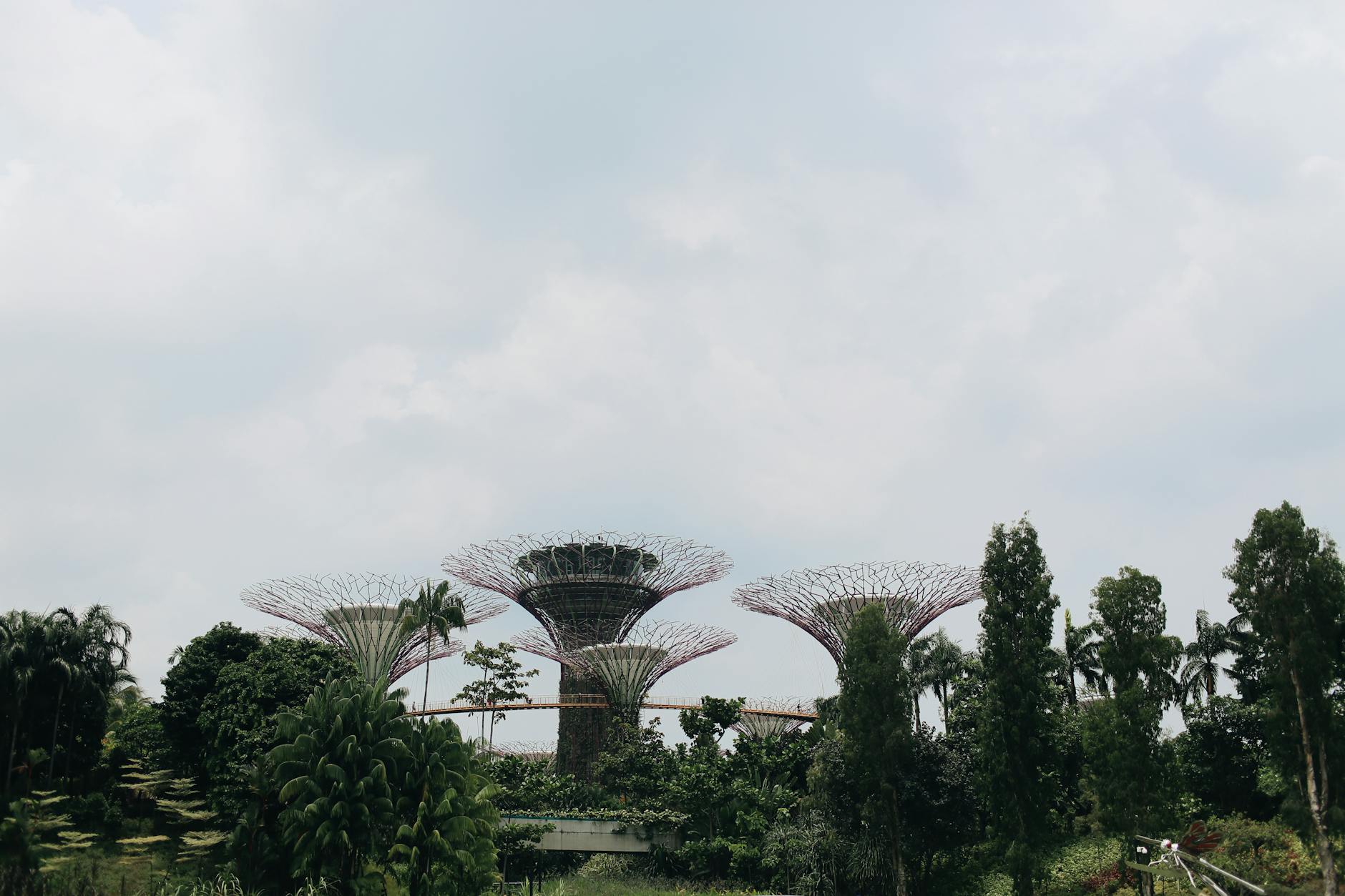 Explore the iconic Supertree Grove at Gardens by the Bay, a symbol of modern architecture blending with nature.