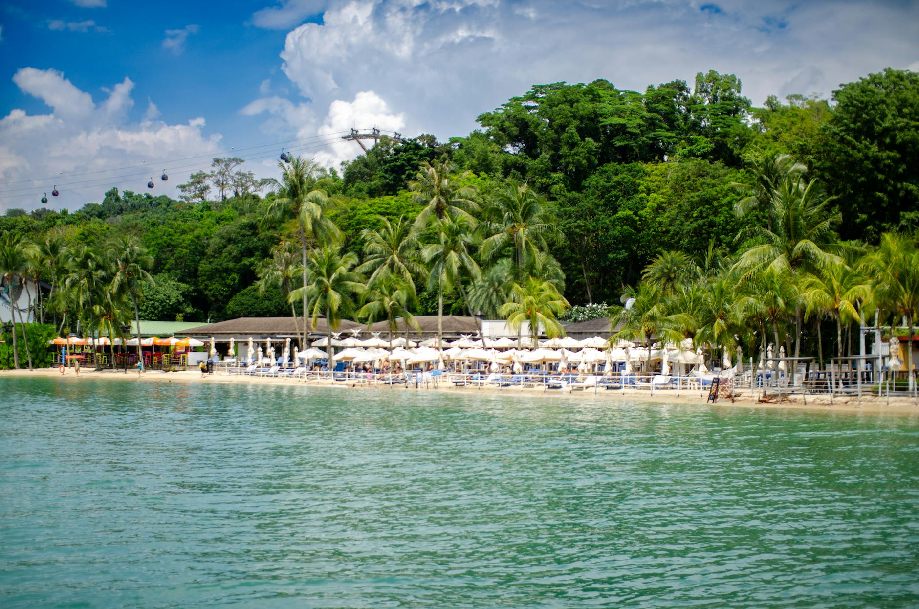 Scenic tropical beach resort with palm trees and azure water, ideal for a summer getaway.