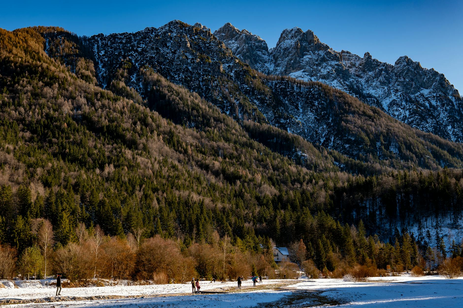 Stunning winter view of Kranjska Gora's mountains and forest.