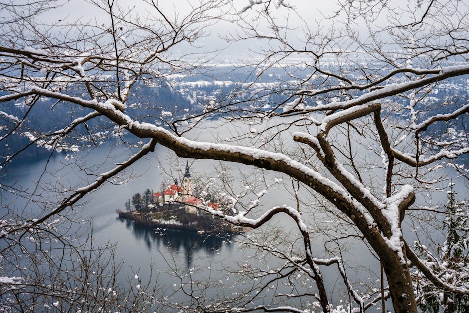 Bled Island