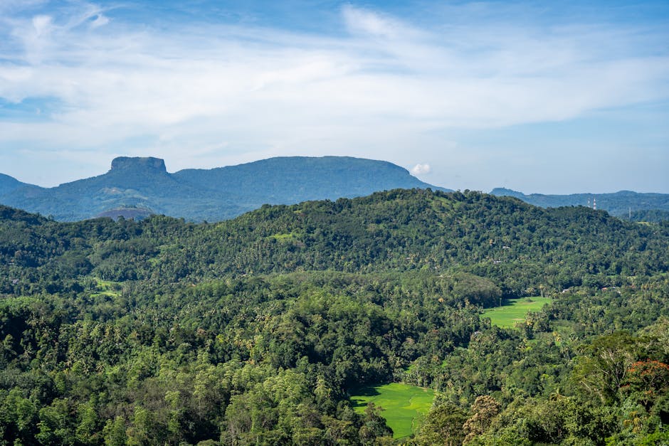 sri lanka travel