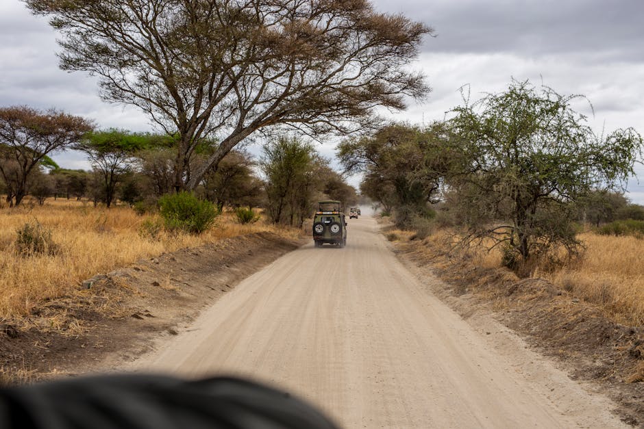 tanzania