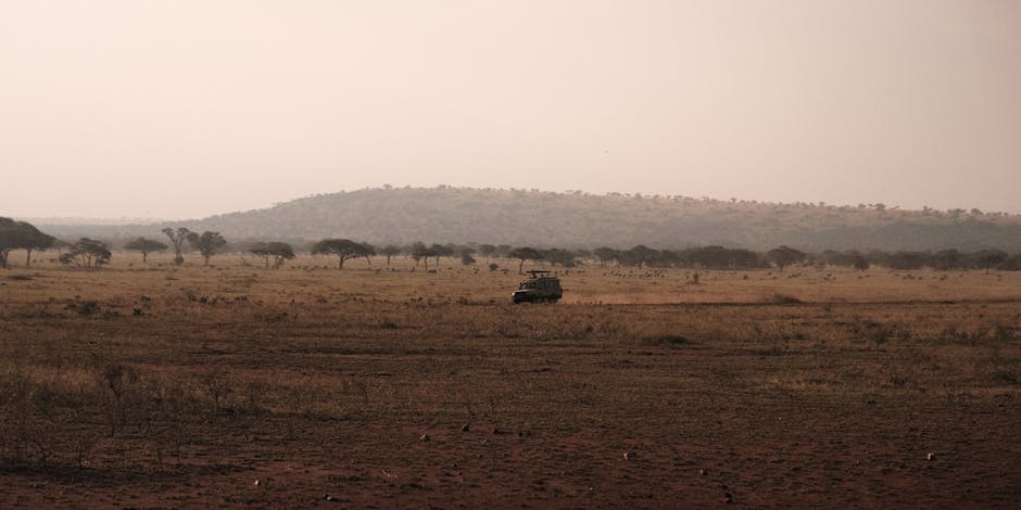 tanzania