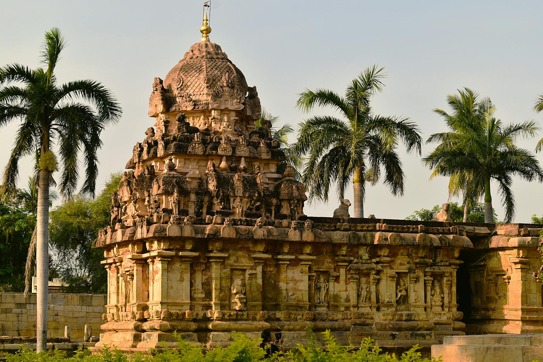 Explore the intricate architecture of the ancient Gangaikonda Cholapuram Temple in Tamil Nadu, India, framed by lush palm trees.