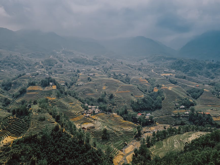 vietnam travel