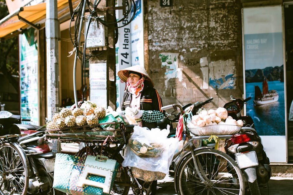 vietnam travel