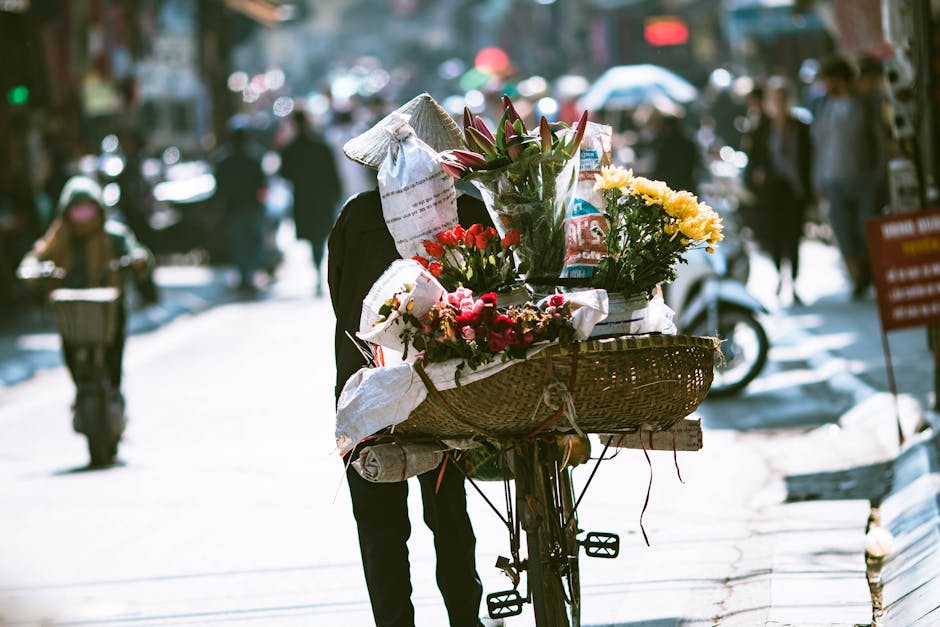 vietnam travel
